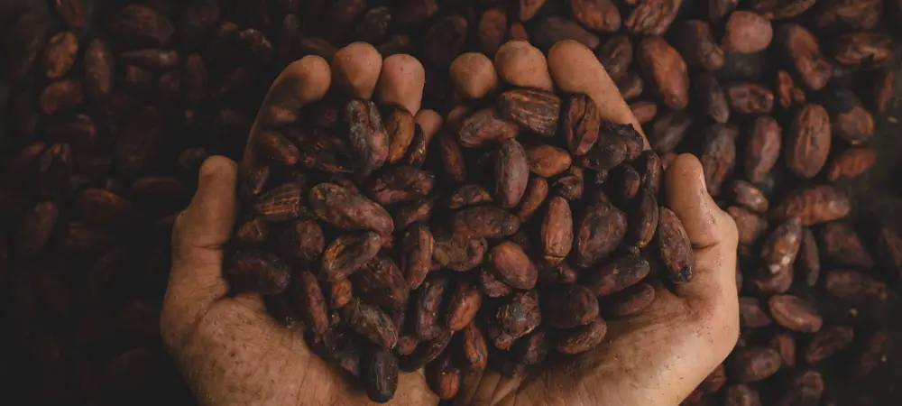 Coloma coffee aroma