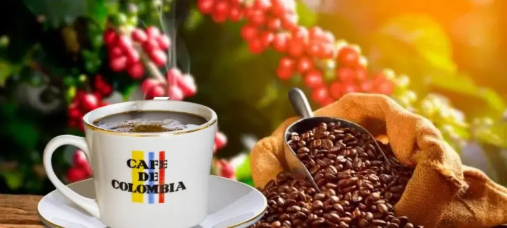 Vive la experiencia cafetera en el corazón de Colombia: Café de Colombia