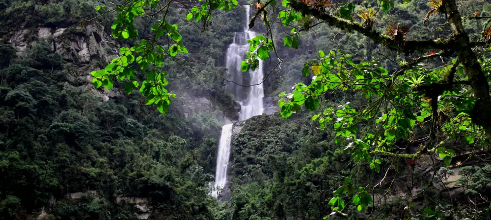 Aventura en la cascada más alta de Colombia: Senderismo y naturaleza en La Chorrera