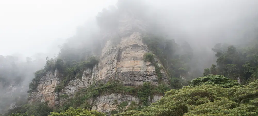Caminata entre niebla y robles: Senderismo en el bosque altoandino